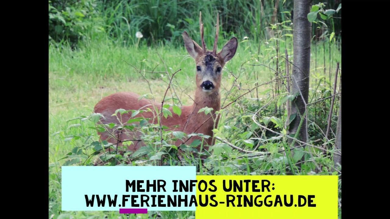 Haus Ringgau - Urlaub, Gemeinschaft Und Erlebnis Im Herzen Von Deutschland Herleshausen Exterior photo